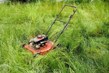 how-to-mow-very-long-grass-1706224959.jpg